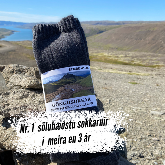Göngusokkar Thermo 3 pör - Söluhæstu ullarsokkarnir í 7 ár
